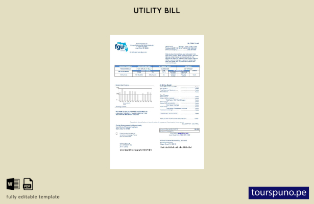 lista para imprimir plantilla de factura de servicios públicos de EE. UU. Florid